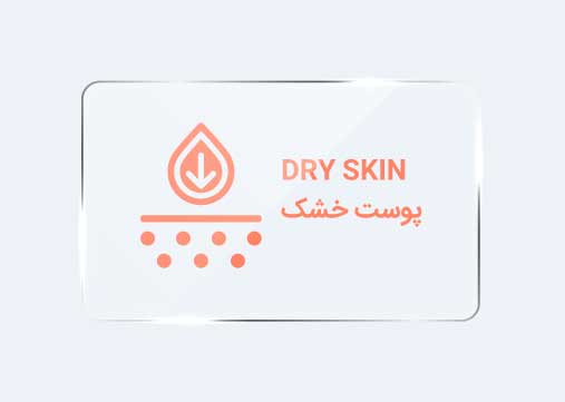 سبد پوست خشک